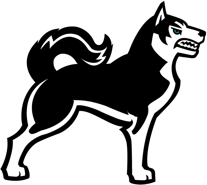 Northeastern Huskies 2001-2006 Alternate Logo v3 iron on transfers for T-shirts